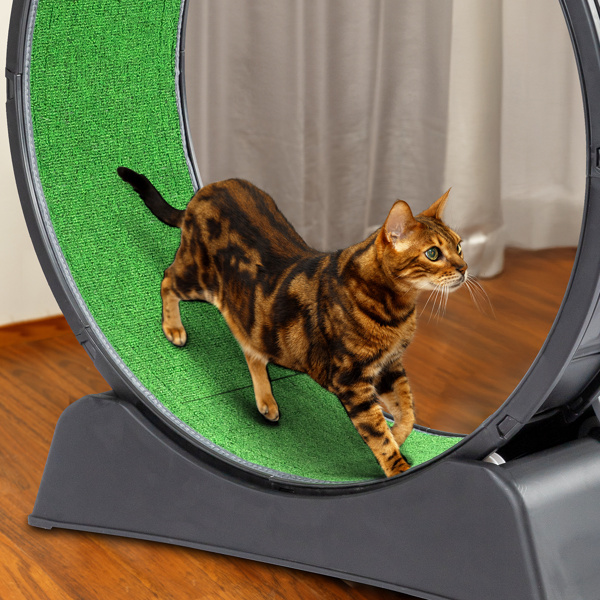 Black PP Cat Treadmill - Splicing Design with Green Carpet, 10kg Capacity
