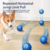 Interactive Smart Bouncing Ball for Dogs with USB Rechargeable Design