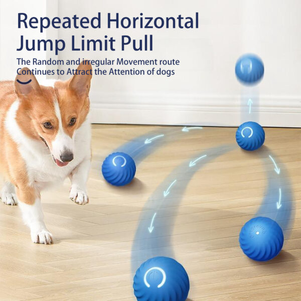 Interactive Smart Bouncing Ball for Dogs with USB Rechargeable Design