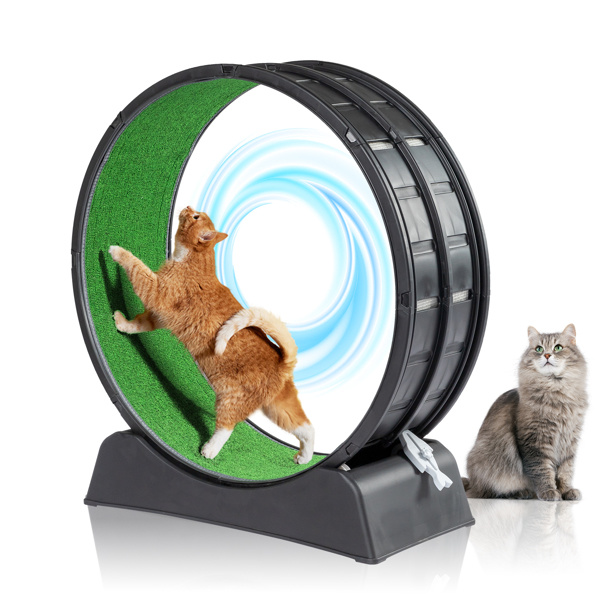 Black PP Cat Treadmill - Splicing Design with Green Carpet, 10kg Capacity