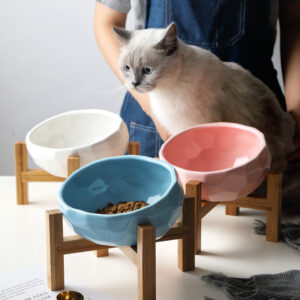 Tilted Pet Food Bowl – Oblique Mouth Bowl for Cats & Dogs