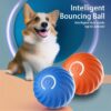 Interactive Smart Bouncing Ball for Dogs with USB Rechargeable Design