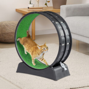 Black PP Cat Treadmill - Splicing Design with Green Carpet, 10kg Capacity