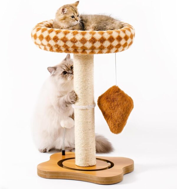 MEWOOFUN Cat Scratching Post with Bed and Ball Track Toys