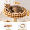 MEWOOFUN Cat Scratching Post with Bed and Ball Track Toys