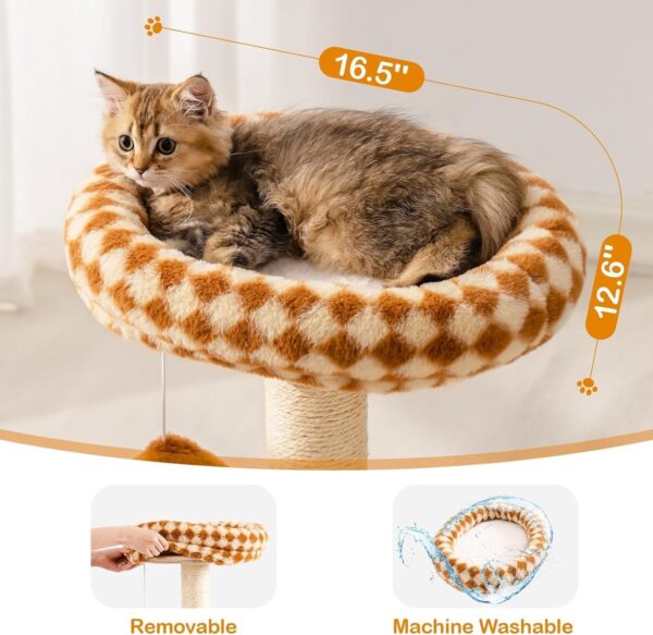 MEWOOFUN Cat Scratching Post with Bed and Ball Track Toys