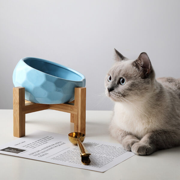 Tilted Pet Food Bowl – Oblique Mouth Bowl for Cats & Dogs