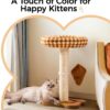 MEWOOFUN Cat Scratching Post with Bed and Ball Track Toys