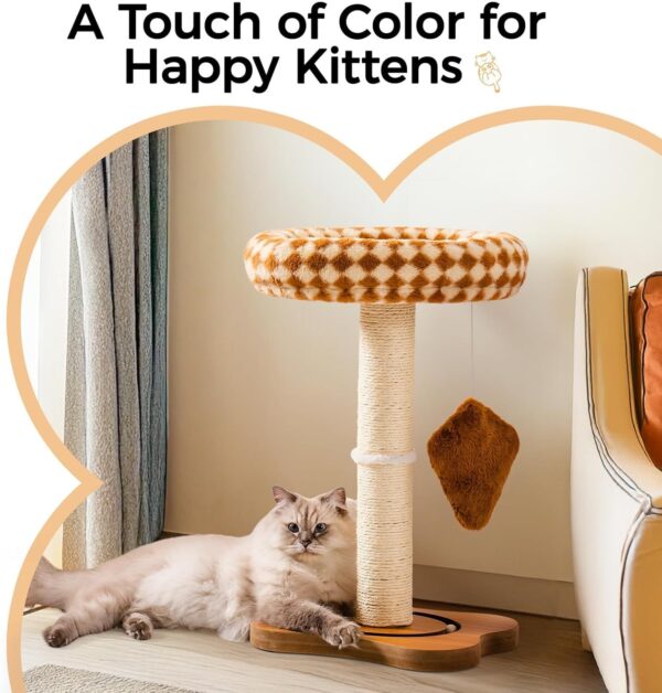 MEWOOFUN Cat Scratching Post with Bed and Ball Track Toys
