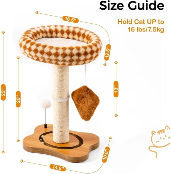 MEWOOFUN Cat Scratching Post with Bed and Ball Track Toys