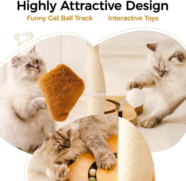 MEWOOFUN Cat Scratching Post with Bed and Ball Track Toys