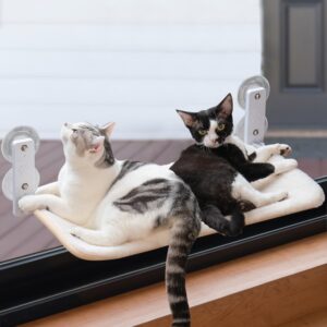 MEWOOFUN Foldable Cat Window Perch with Removable Mat