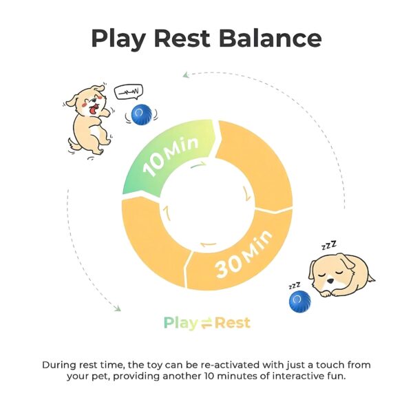 Interactive Smart Bouncing Ball for Dogs with USB Rechargeable Design