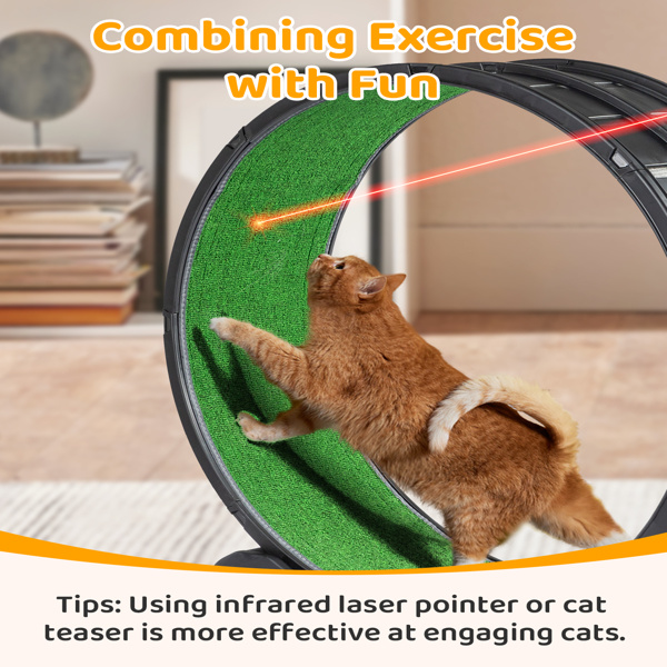 Black PP Cat Treadmill - Splicing Design with Green Carpet, 10kg Capacity
