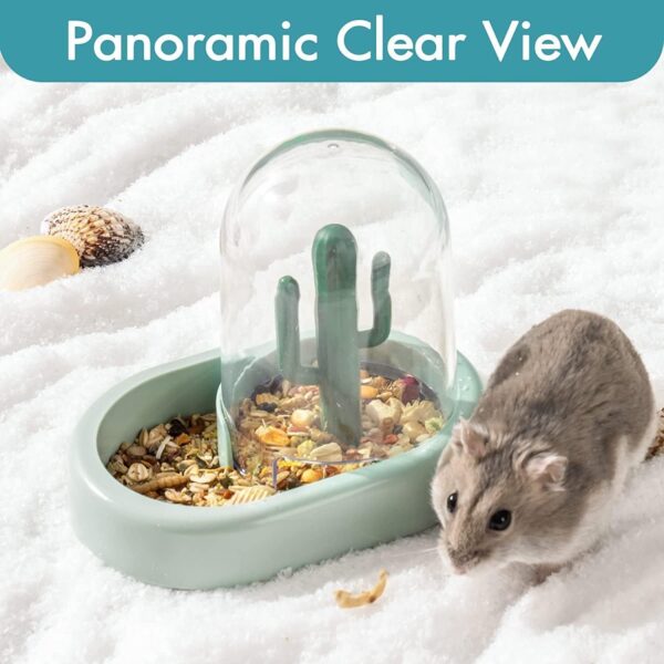 MEWOOFUN Hamster Sand Bath Set, Dual-Use Bowl & Container, Green