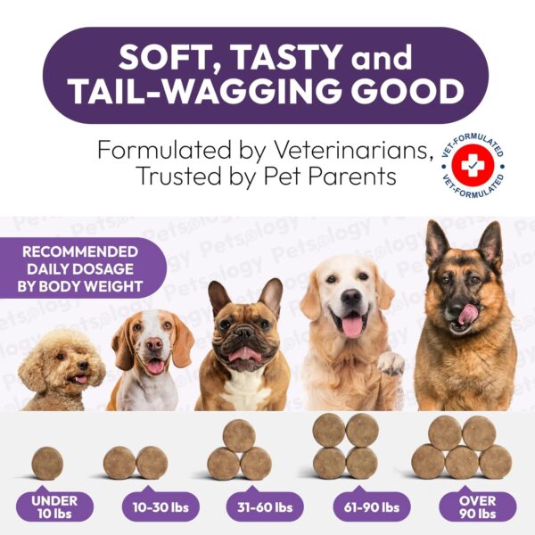 Dog Multivitamin Chews with Glucosamine for Joint and Overall Health