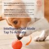 Interactive Smart Bouncing Ball for Dogs with USB Rechargeable Design
