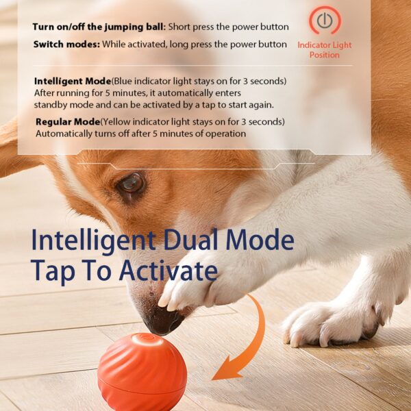 Interactive Smart Bouncing Ball for Dogs with USB Rechargeable Design