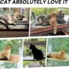 MEWOOFUN Cat Window Hammock with Steel Frame and Suction Cups