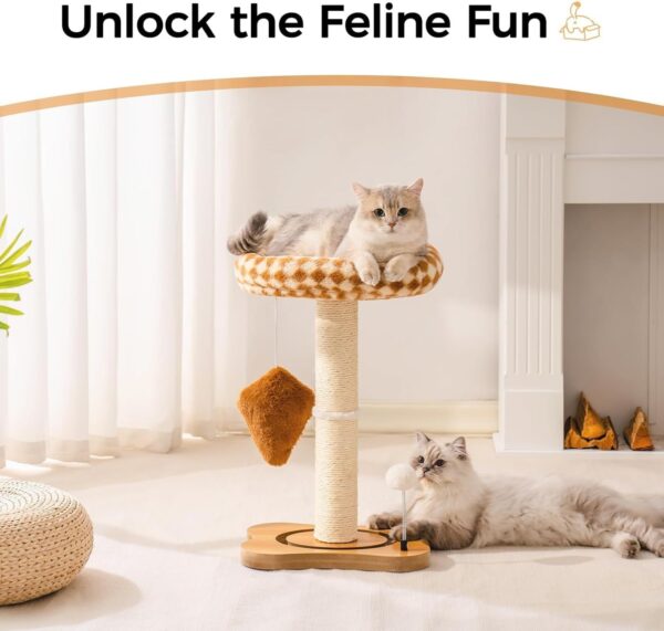 MEWOOFUN Cat Scratching Post with Bed and Ball Track Toys
