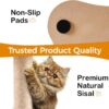 MEWOOFUN Cat Scratching Post with Bed and Ball Track Toys