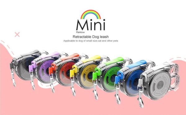 Mini Retractable Dog Leash for Small Pets Outdoor Use