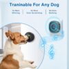 Dog Door Bell