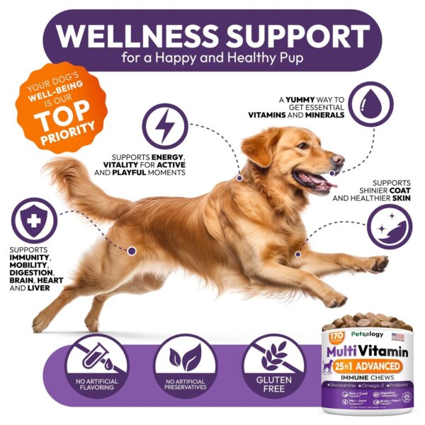 Dog Multivitamin Chews with Glucosamine for Joint and Overall Health