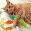 Interactive Long-Tail Mouse Cat Toy – Fun Training & Play for Pets