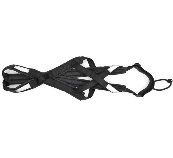 42140daf-0a18-496e-8269-2737ba9720af.jpg Dog Running Harness