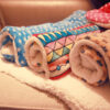 Cozy Cat & Dog Blanket – Multi-Purpose Pet Mat for Comfort