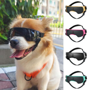 Dog Sun-proof, UV-proof Goggles