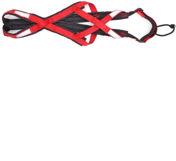7da6ee92-e581-49fa-be02-4c0432178f7e.jpg Dog Running Harness