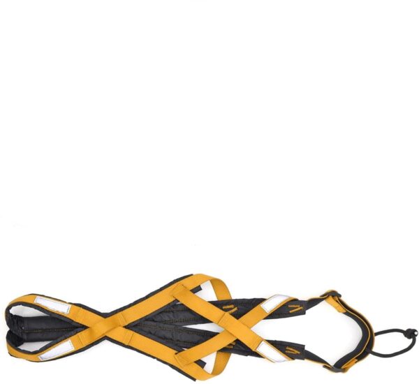 92b93bed-52ec-40d5-9e75-8865b4076feb.jpg Dog Running Harness