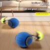 Funny Cat Toy Ball – Self-Moving Gravity Ball for Endless Entertainment