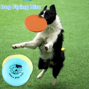 Silicone Flying Disc for Dogs & Cats – Durable Chew-Resistant Interactive Toy