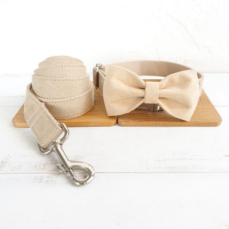 dog collar with leash