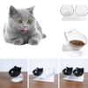 842708951630.jpg Double Cat Food Bowl with Cervical Protection
