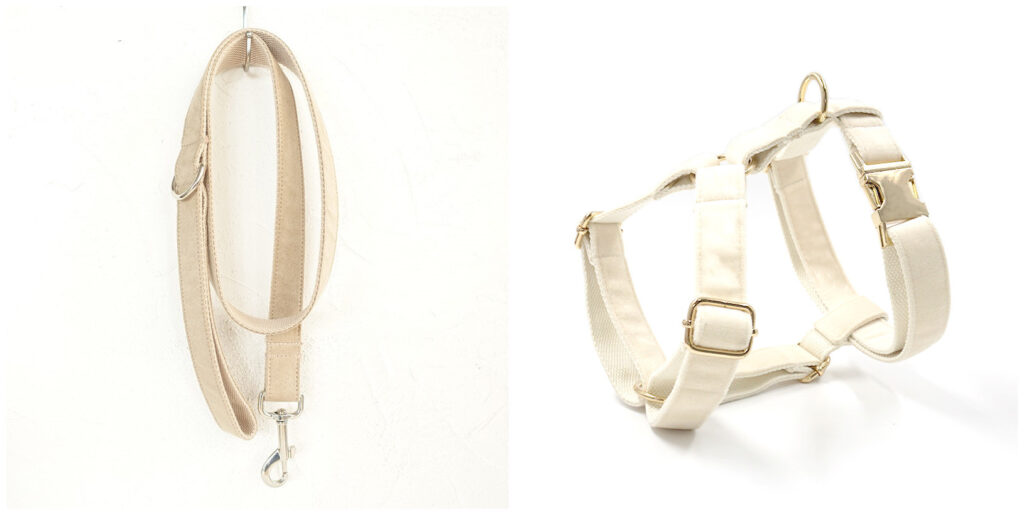 dog collar with leash