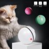 f8b4af5c-bb82-41a4-ba50-bbe0fb94aef2.jpg LED Laser Rolling Ball – Electronic Cat Toy