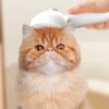 0888a57d-baf7-4b7d-bf40-72b02aa10203.jpg Self-Cleaning Pet Grooming Comb – Hair Remover Brush with Built-In Mist Humidifier