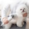 Smart Pet Hair Dryer & Comb – Silent Safe Grooming Tool for Dogs & Cats
