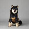 Waterproof Large Dog Raincoat - Outdoor Pet Jacket