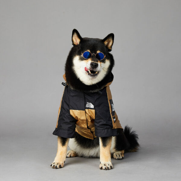 Waterproof Large Dog Raincoat - Outdoor Pet Jacket