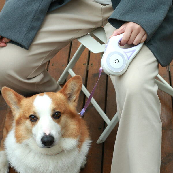 Retractable Dog Leash with LED Light-Petyzoom Retractable Dog Leash with LED Light