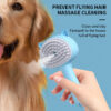ae76c02e-2294-4cac-95ae-2fda1e07f5b6.jpg Self-Cleaning Mist Pet Grooming Brush
