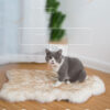 2036681812046.jpg Plush Round Pet Bed Cushion