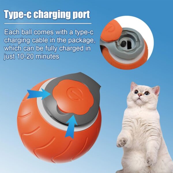 2213dc4b-8f75-4061-8cb1-df2a9f08084c.jpg Interactive USB Rechargeable Cat Ball Toy