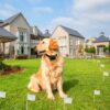 bfc3cc6f-4c74-4271-88cc-7cefc12f8a74.jpg Electric Dog Fence System