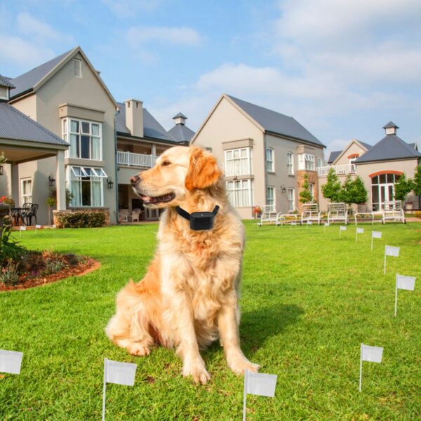 bfc3cc6f-4c74-4271-88cc-7cefc12f8a74.jpg Electric Dog Fence System